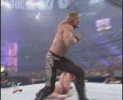 http://i528.photobucket.com/albums/dd324/Rhino_Gifs/Chris%20Jericho/lionsault2xi.gif