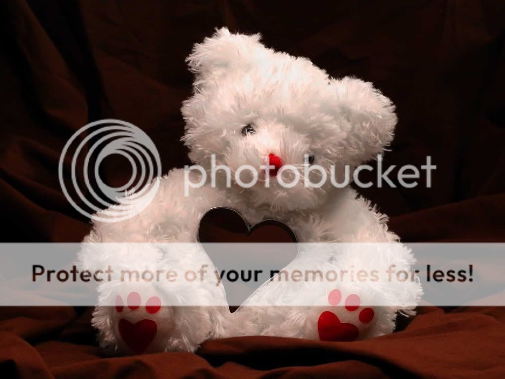 teddy bear Pictures, Images and Photos