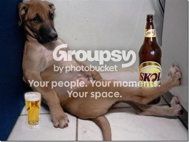 dogpro.jpg