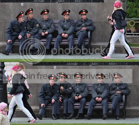 pigs_literally.jpg